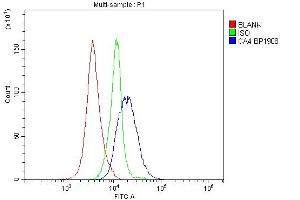 Flow Cytometry analysis of mouse spleen cells using anti-Ca4 antibody (ABIN7600898).