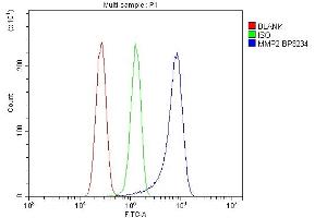 Flow Cytometry analysis of U87 cells using anti-MMP2 antibody (ABIN7601677). (MMP2 Antikörper  (AA 411-660))