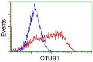 Image no. 2 for anti-OTU Domain, Ubiquitin Aldehyde Binding 1 (OTUB1) antibody (ABIN1499929) (OTUB1 Antikörper)
