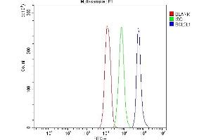 Flow Cytometry analysis of Jurkat cells using anti-Bcl-XL antibody (ABIN5518741).