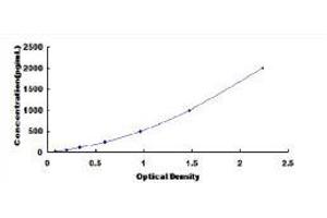 ELISA image for Transforming Growth Factor, beta 1 (TGFB1) ELISA Kit (ABIN413964)