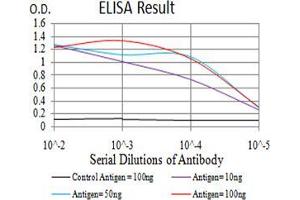 Black line: Control Antigen (100 ng);Purple line: Antigen (10ng); Blue line: Antigen (50 ng); Red line:Antigen (100 ng) (POMC Antikörper  (AA 1-150))