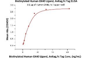 ELISA image for Tumor Necrosis Factor (Ligand) Superfamily, Member 4 (TNFSF4) (AA 51-183) (Active) protein (AVI tag,Fc Tag,Biotin) (ABIN6731293)