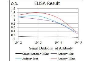 Image no. 5 for anti-rho GDP Dissociation Inhibitor (GDI) alpha (ARHGDIA) antibody (ABIN1500701) (ARHGDIA Antikörper)