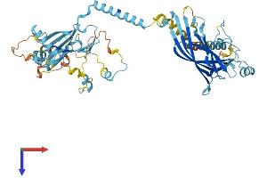 MKS1 Protein (AA 1-561) (His tag)