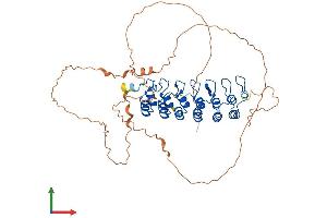 Protein Structure (PS) image for Nuclear Factor of kappa Light Polypeptide Gene Enhancer in B-Cells Inhibitor, epsilon (NFKBIE) (AA 1-500) protein (His tag) (ABIN7548474)