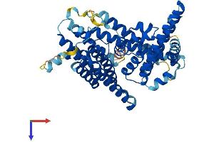 MBOAT4 Protein (AA 1-435) (His tag)