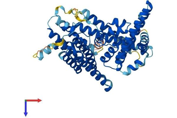 MBOAT4 Protein (AA 1-435) (His tag)