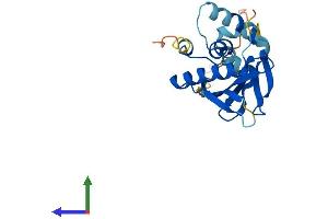 Protein Structure (PS) image for Autophagy Related 10 (ATG10) (AA 1-220) protein (His tag) (ABIN7552439)