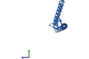 Protein Structure (PS) image for Translocase of Inner Mitochondrial Membrane 10 (TIMM10) (AA 1-90) protein (His tag) (ABIN7556596)
