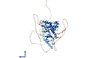 Protein Structure (PS) image for Dual-Specificity tyrosine-(Y)-phosphorylation Regulated Kinase 1B (DYRK1B) (AA 1-629) protein (His tag) (ABIN7565271)