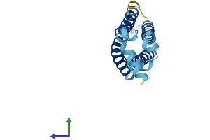 Protein Structure (PS) image for Transmembrane Protein 138 (TMEM138) (AA 1-162) protein (His tag) (ABIN7561041)
