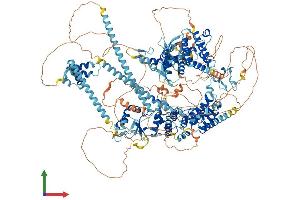 Protein Structure (PS) image for Bromodomain Adjacent To Zinc Finger Domain, 1B (BAZ1B) (AA 1-1483) protein (His tag) (ABIN7552573)