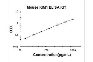 Mouse KIM1 PicoKine ELISA Kit standard curve