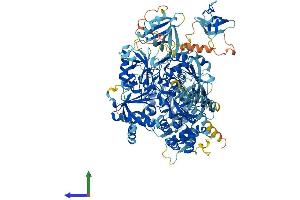 Protein Structure (PS) image for Phospholipase C gamma 2 (PLCG2) (AA 1-1265) protein (His tag) (ABIN7564594)
