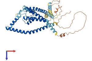 KCNK13 Protein (AA 1-408) (His tag)