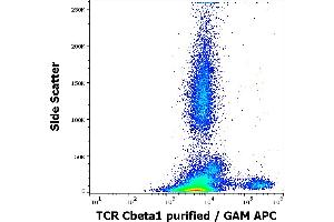 Flow cytometry surface staining pattern of human peripheral whole blood stained using anti-human TCR Cbeta1 (JOVI. (TCR, Cbeta1 Antikörper)