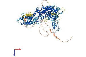 RASGRP4 Protein (AA 1-673) (His tag)
