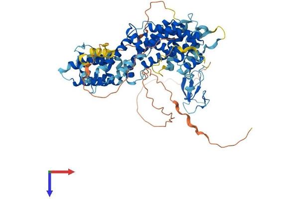 RASGRP4 Protein (AA 1-673) (His tag)