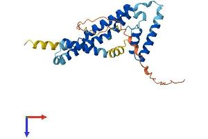TMEM65 Protein (AA 1-234) (His tag)