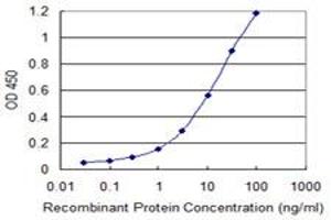 Detection limit for recombinant GST tagged NOTCH1 is 0. (Notch1 Antikörper  (AA 23-132))
