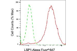 Flow cytometric analysis of LSP1 expression in Raji cells using LSP1 antibody (ABIN7799294), 1:2,000).