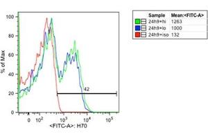 Flow Cytometry (FACS) image for anti-Heat Shock Protein 70 (HSP70) antibody (FITC) (ABIN263935) (HSP70 Antikörper  (FITC))
