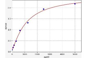 alpha Actinin 4 ELISA Kit