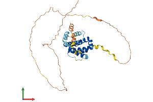 Protein Structure (PS) image for Induced Myeloid Leukemia Cell Differentiation Protein Mcl-1 (MCL1) (AA 1-331) protein (His tag) (ABIN7556772)