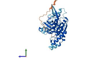Protein Structure (PS) image for DNA Repair Protein RAD51 Homolog 3 (RAD51C) (AA 1-366) protein (His tag) (ABIN7564862)