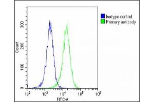 Flow Cytometry (FACS) image for anti-Leucine Zipper and CTNNBIP1 Domain Containing (LZIC) (AA 81-109) antibody (ABIN1538640)