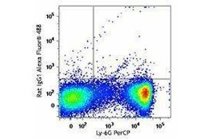 Flow Cytometry (FACS) image for Rat anti-Mouse IgE antibody (Alexa Fluor 488) (ABIN2667216) (Ratte anti-Maus IgE Antikörper (Alexa Fluor 488))