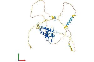 AlphaFold protein structure predicition of Mouse Recombinant Foxb1 Protein, UniprotID Q64732