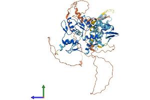 AlphaFold protein structure predicition of Human Recombinant MYNN Protein, UniprotID Q9NPC7