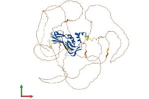 Protein Structure (PS) image for T-Box Brain Gene 1 (TBR1) (AA 1-682) protein (His tag) (ABIN7544386)