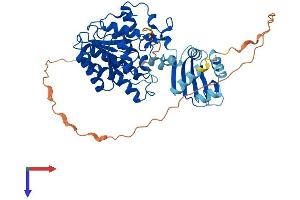 HSDL2 Protein (AA 1-490) (His tag)