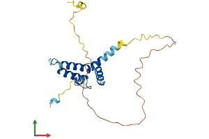 Protein Structure (PS) image for DnaJ (Hsp40) Homolog, Subfamily C, Member 12 (DNAJC12) (AA 1-198) protein (His tag) (ABIN7547116)