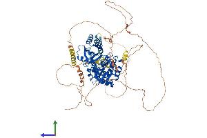 AlphaFold protein structure predicition of Mouse Recombinant Dennd1b Protein, UniprotID Q3U1T9