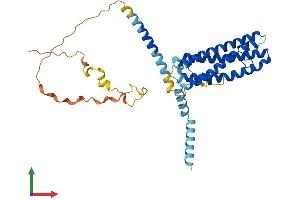 Protein Structure (PS) image for Secretory Carrier Membrane Protein 3 (SCAMP3) (AA 1-347) protein (His tag) (ABIN7551696)