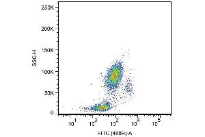 Surface staining of human peripheral blood leukocytes with anti-human CD33 (HIM3-4) FITC. (CD33 Antikörper  (Biotin))