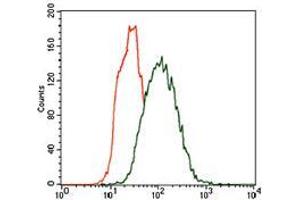 Flow cytometric analysis of Hela cells using CK5 mouse mAb (green) and negative control (red). (Cytokeratin 5 Antikörper  (AA 316-590))
