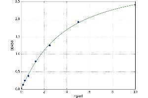 Fibroblast Growth Factor Binding Protein 1 (FGFBP1) ELISA Kit