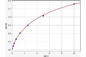 LIPF ELISA Kit