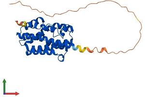 Protein Structure (PS) image for Heme Oxygenase (Decycling) 1 (HMOX1) (AA 1-289) protein (His tag) (ABIN7562880)