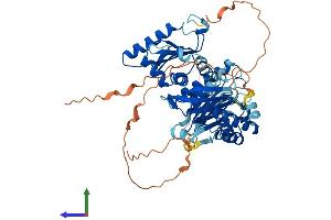 Protein Structure (PS) image for MON1 Homolog B (MON1B) (AA 1-553) protein (His tag) (ABIN7558776)