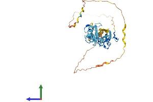 AlphaFold protein structure predicition of Mouse Recombinant Fblim1 Protein, UniprotID Q71FD7