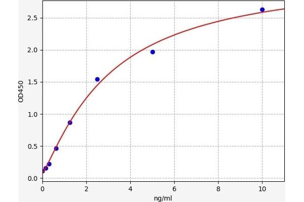 SLC29A1 ELISA Kit