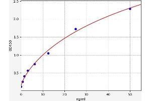 BCL2-Associated X Protein (BAX) ELISA Kit