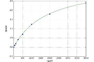 Laminin, gamma 2 (LAMC2) ELISA Kit