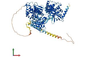 AlphaFold protein structure predicition of Human Recombinant DHX15 Protein, UniprotID O43143